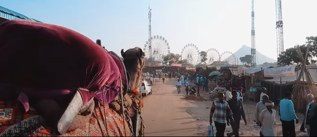 Pushkar Fair