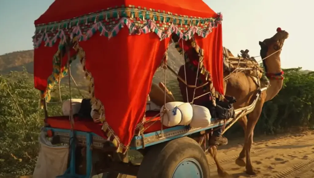 Reveling in the Enchantment of The Camel Fair Pushkar: An Energetic Kaleidoscope of Culture and Tradition