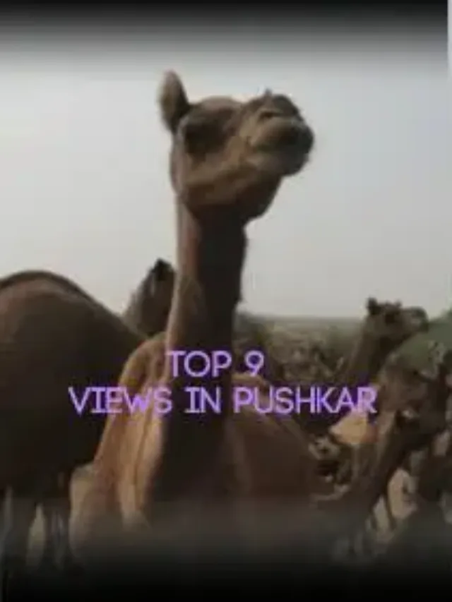 India’s Rajasthan: Sacred Pushkar